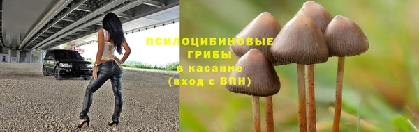 мяу мяу мука Волоколамск