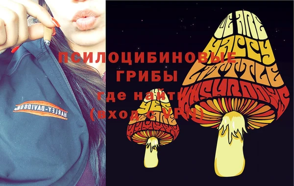 мяу мяу мука Волоколамск