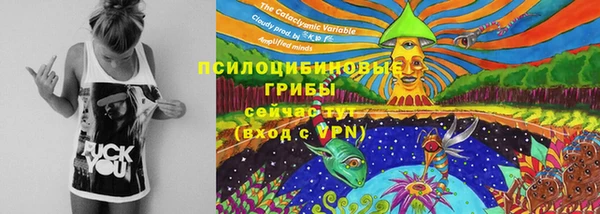 соль курить ск Волосово