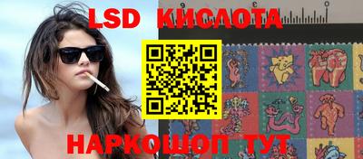 кокс Кингисепп