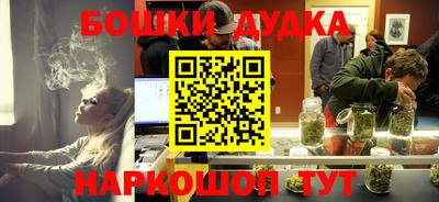 кокс Кингисепп