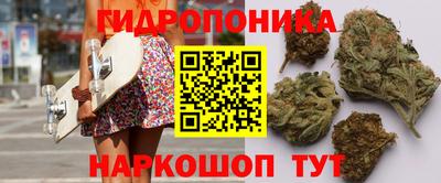 кокс Кингисепп