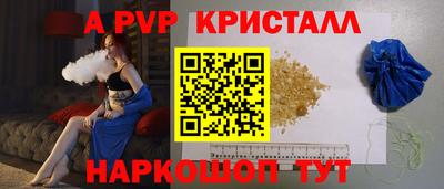 кокс Кингисепп