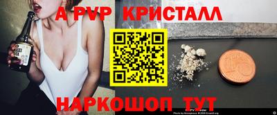 кокс Кингисепп