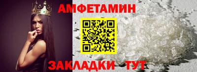 кокс Кингисепп