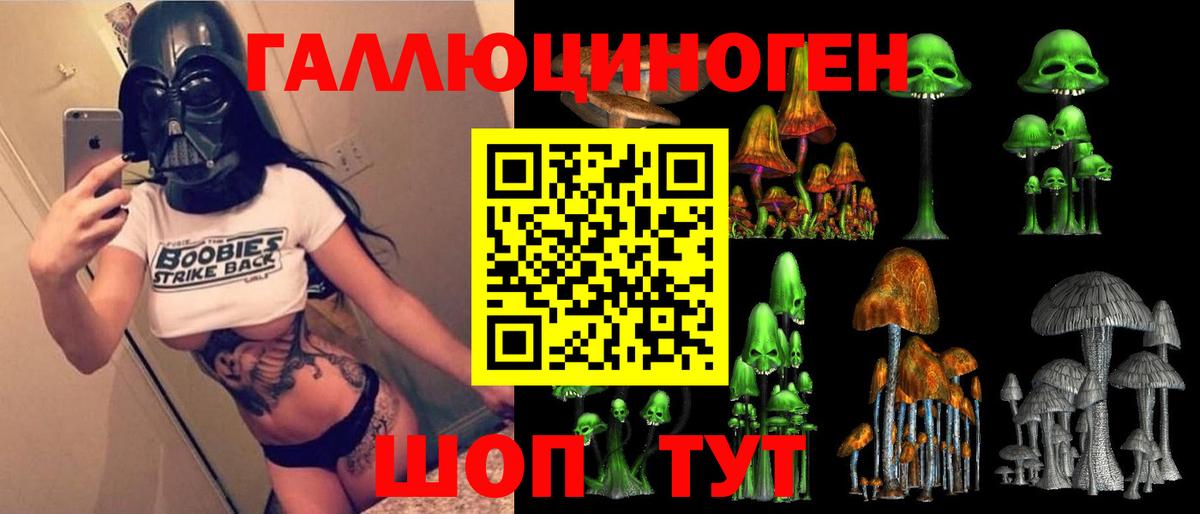 Псилоцибиновые грибы Cubensis  Галлюциногенные грибы Psilocybe  Елец  Вход с VPN 